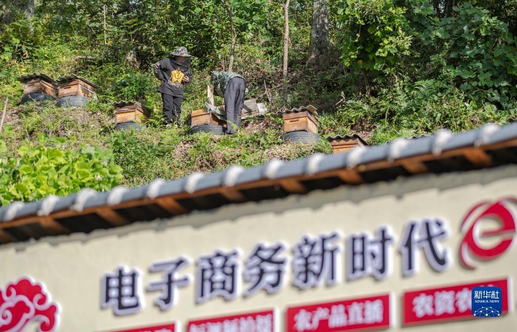 白菜免费彩金大全